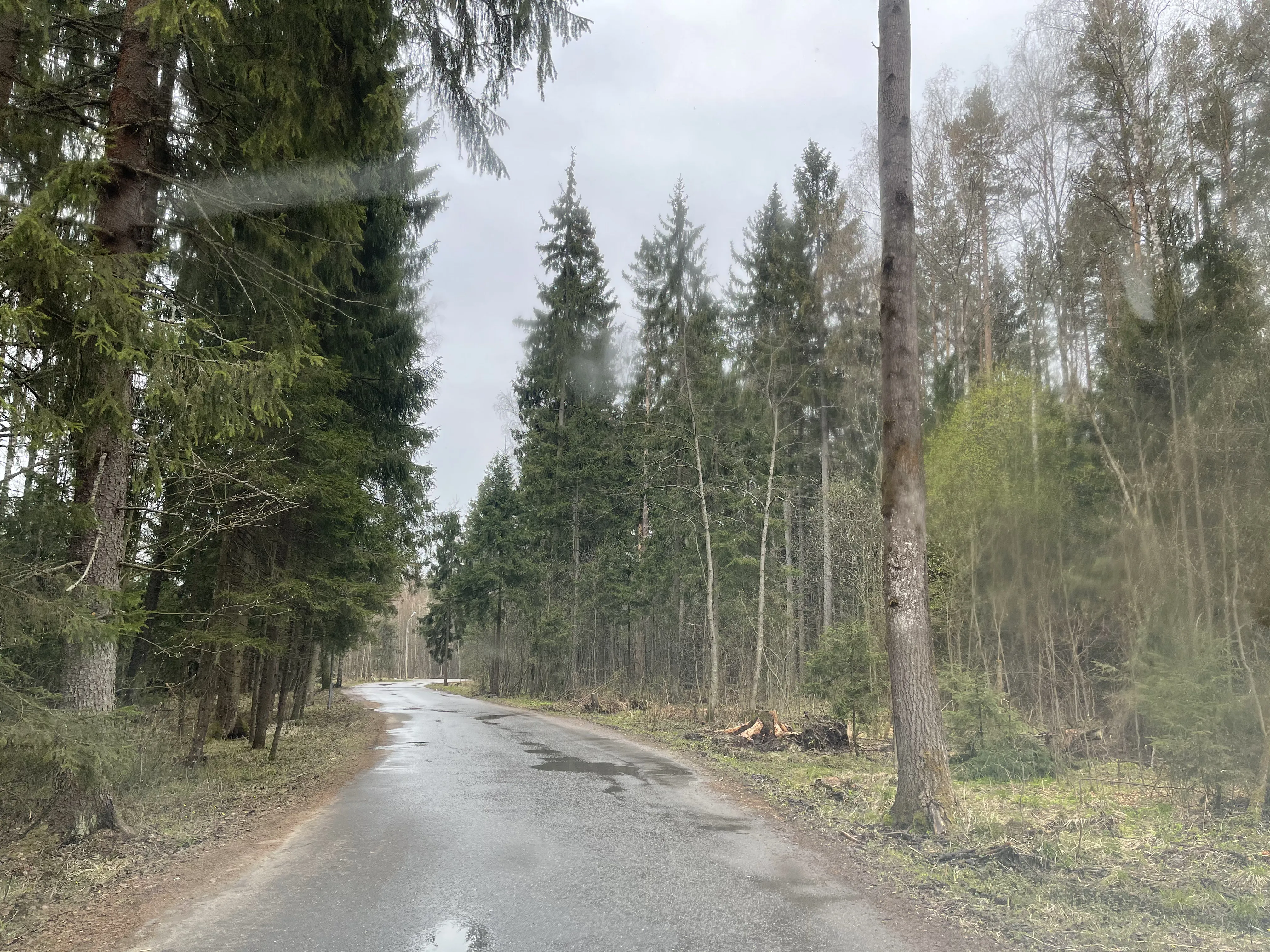 Дача Камня и Елей, фото 2