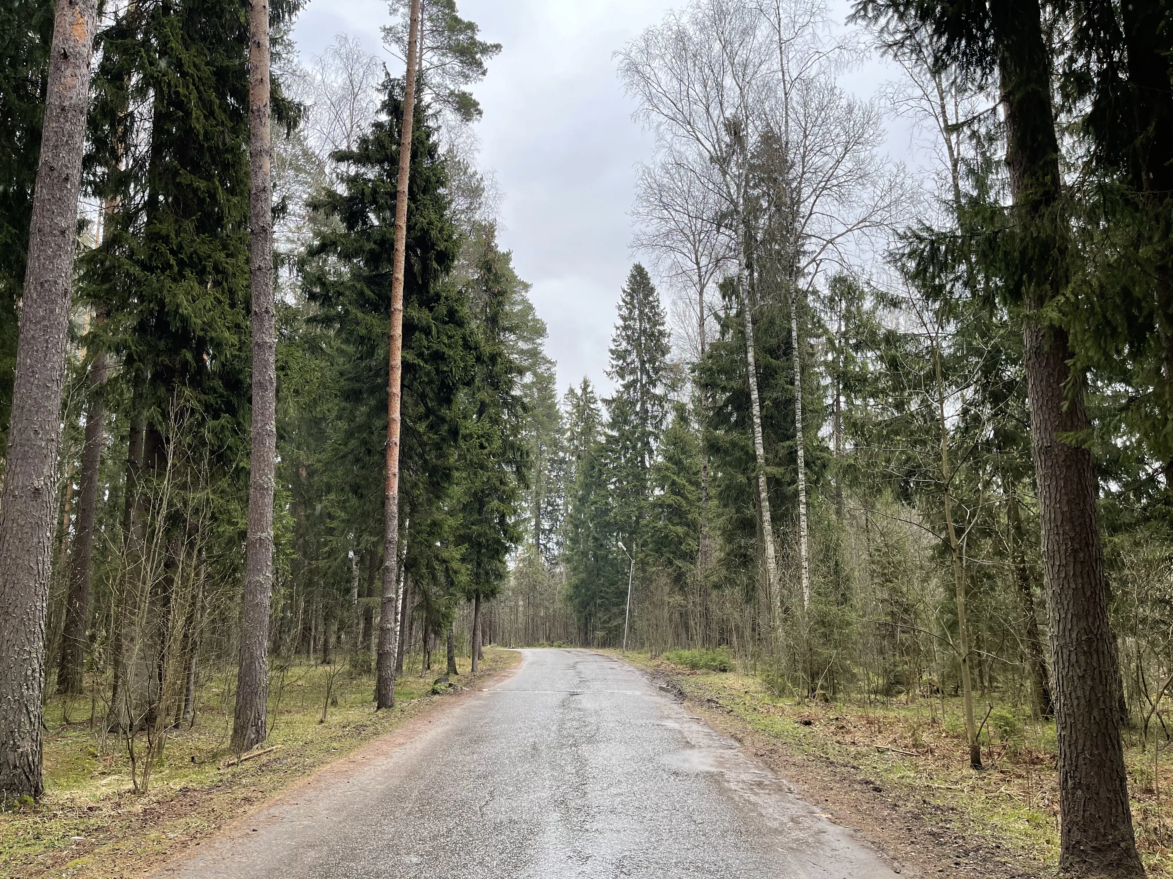 Дача Камня и Елей, фото 4
