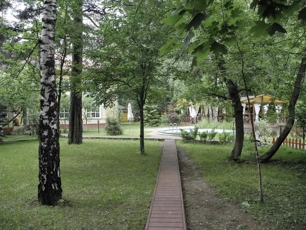 Дача в березовой роще, фото 5