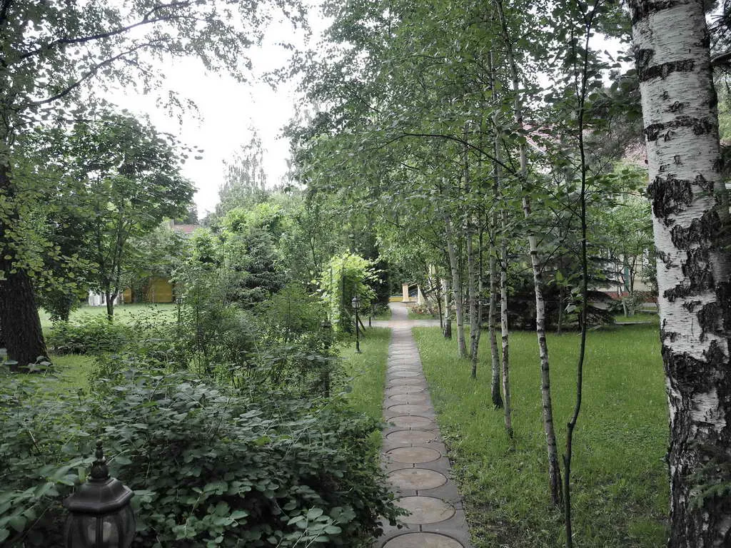 Дача в березовой роще, фото 1