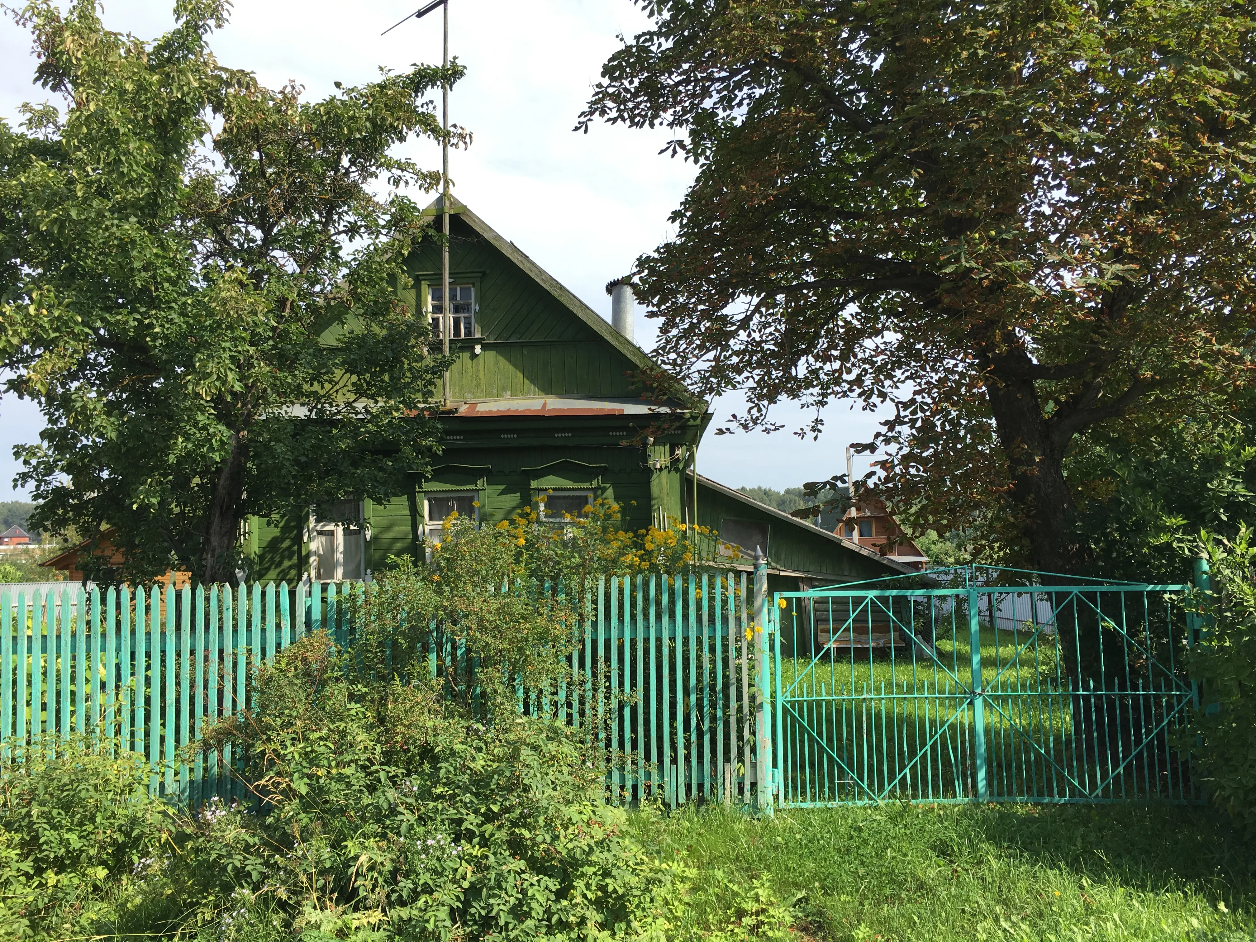 Резной дом в зелени, фото 6