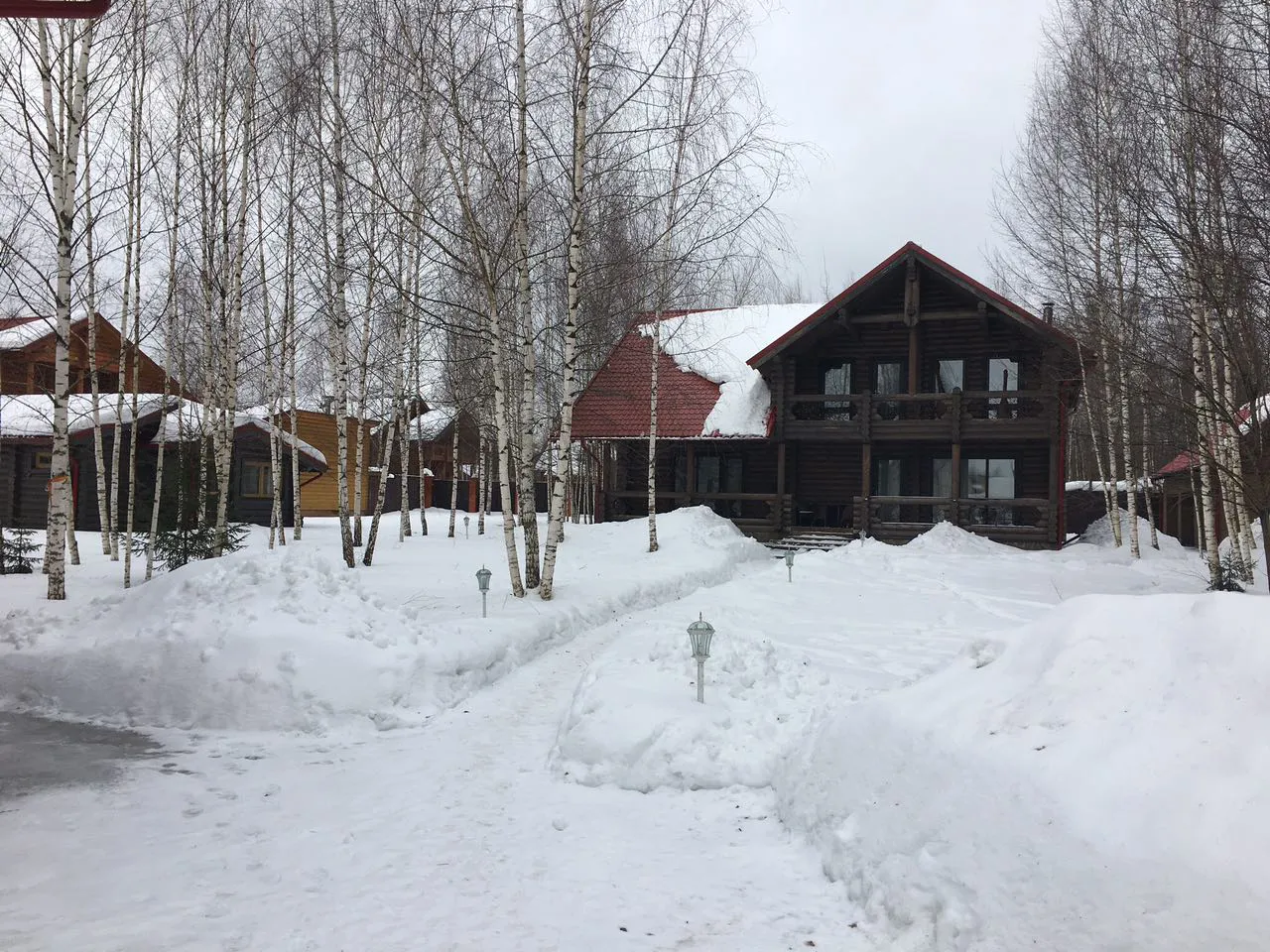Рустик в заснеженном лесу, фото 1