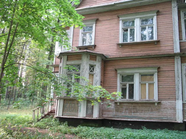 Резная дача в березах, фото 5