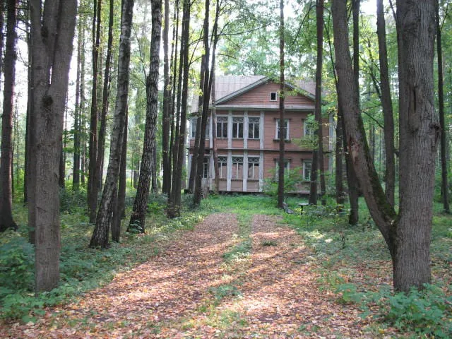 Резная дача в березах, фото 2