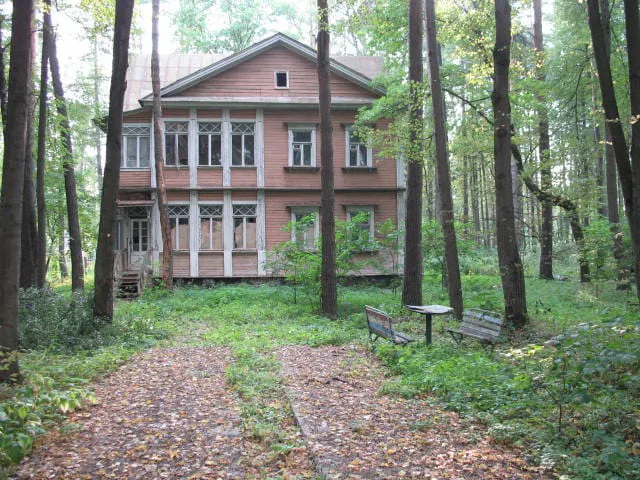 Резная дача в березах, фото 3