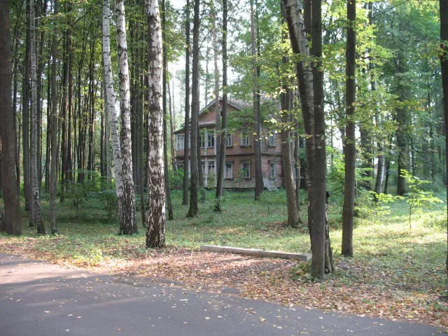 Резная дача в березах, фото 1