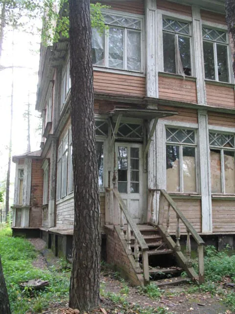 Резная дача в березах, фото 4