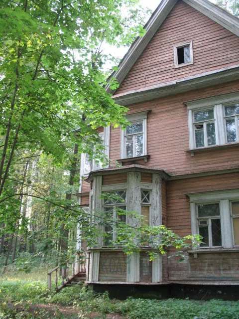 Резная дача в березах, фото 6