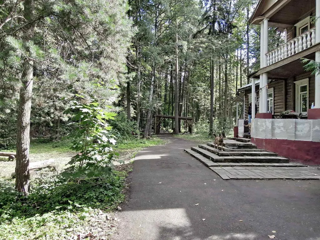 Дачный участок в лесу, фото 6