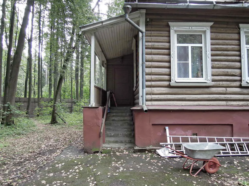 Дачный участок в лесу, фото 10