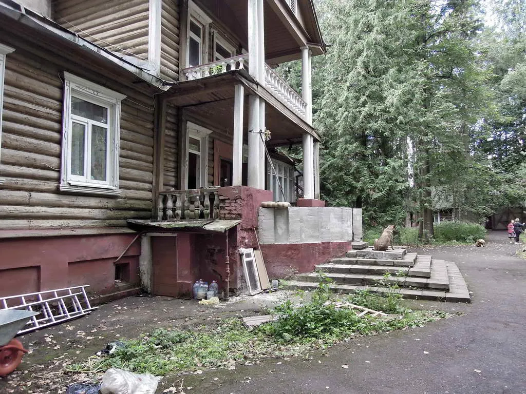 Дачный участок в лесу, фото 16