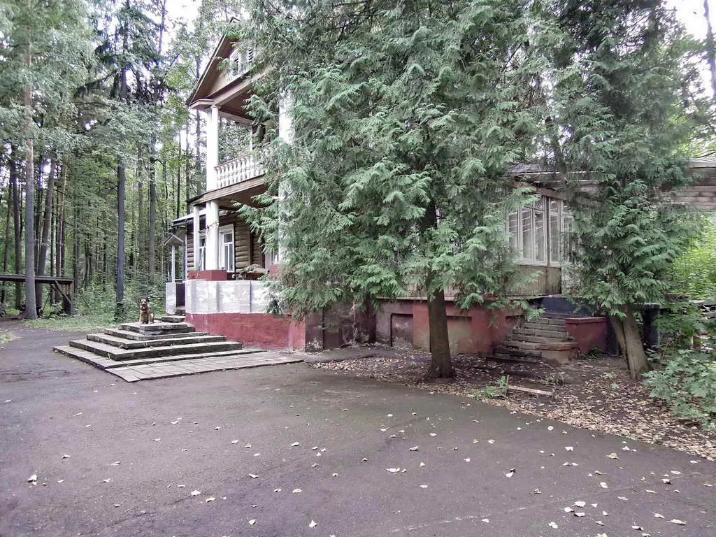 Дачный участок в лесу, фото 5