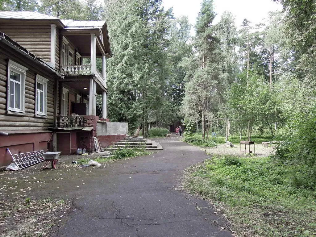 Дачный участок в лесу, фото 15