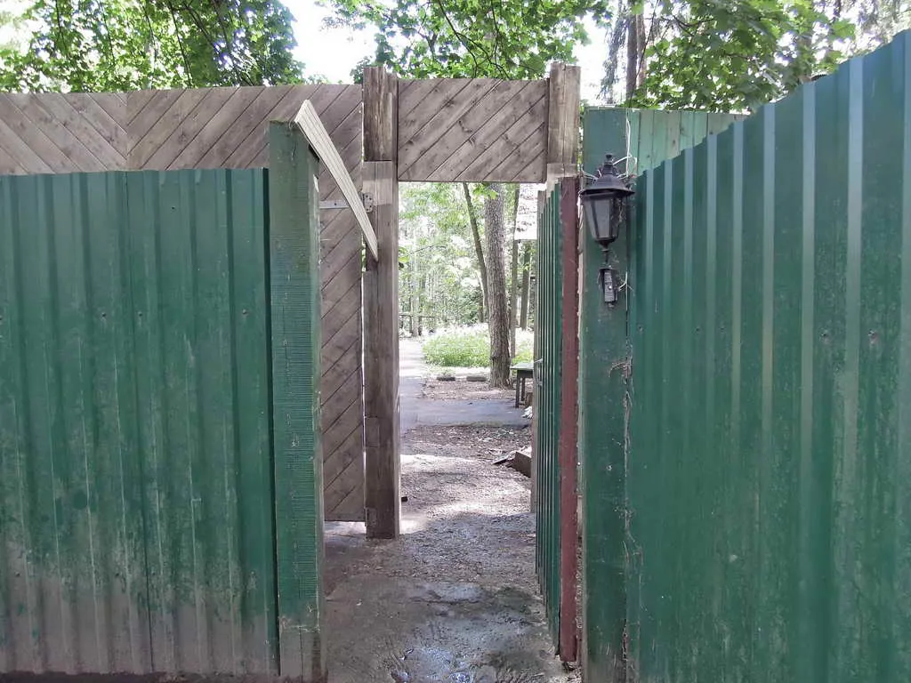 Дачный участок в лесу, фото 1