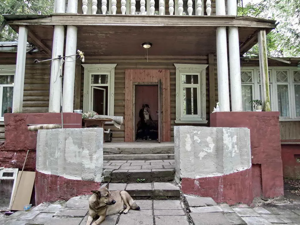 Дачный участок в лесу, фото 18