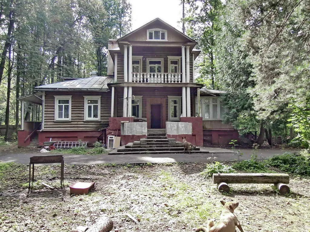 Дачный участок в лесу, фото 17
