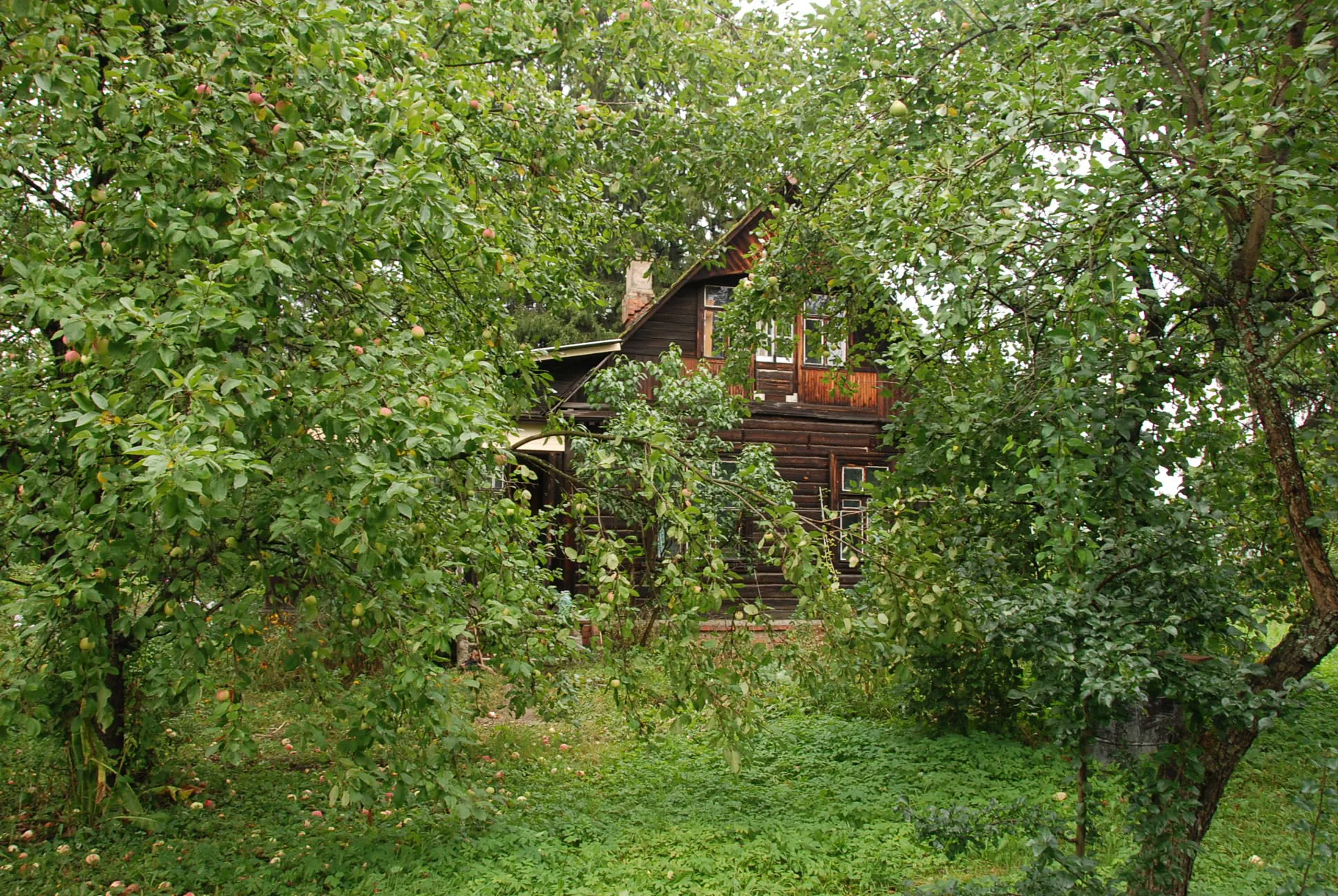 Старая дача в саду, фото 5