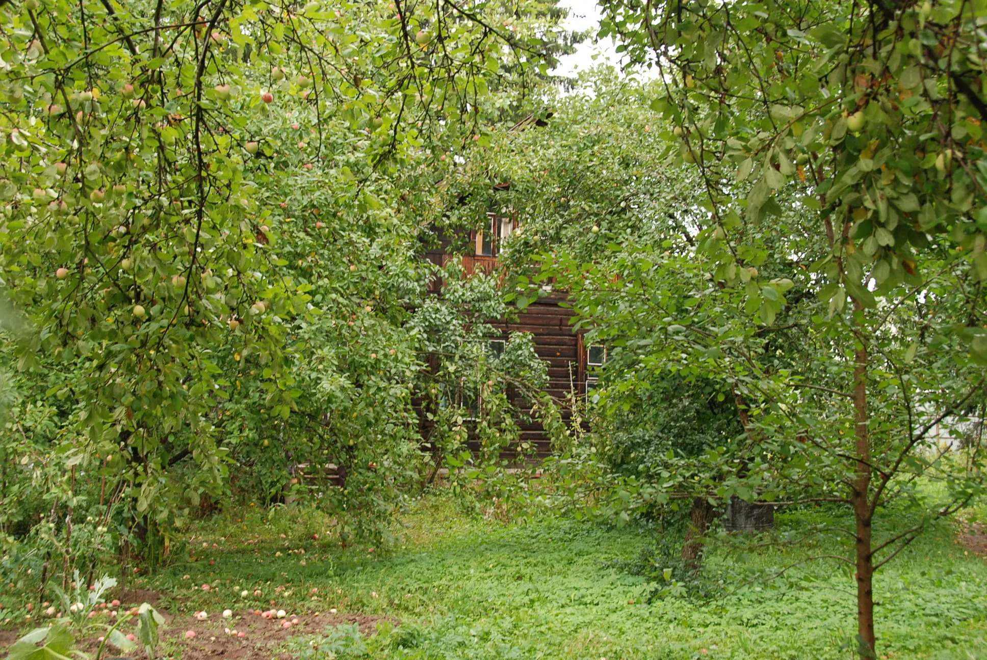 Старая дача в саду, фото 6