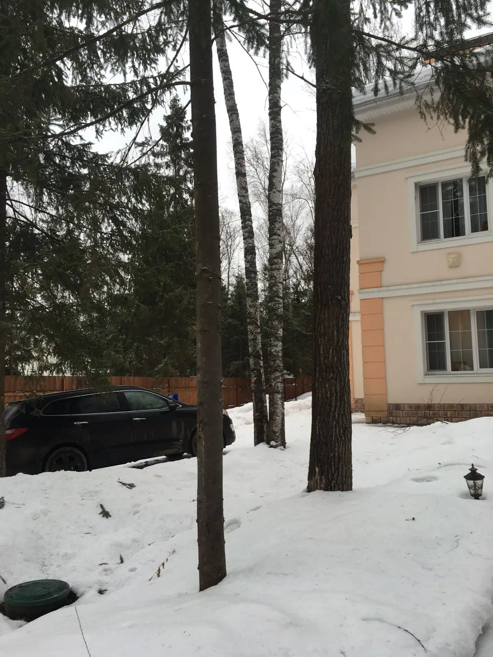 Зимний участок и лес, фото 1