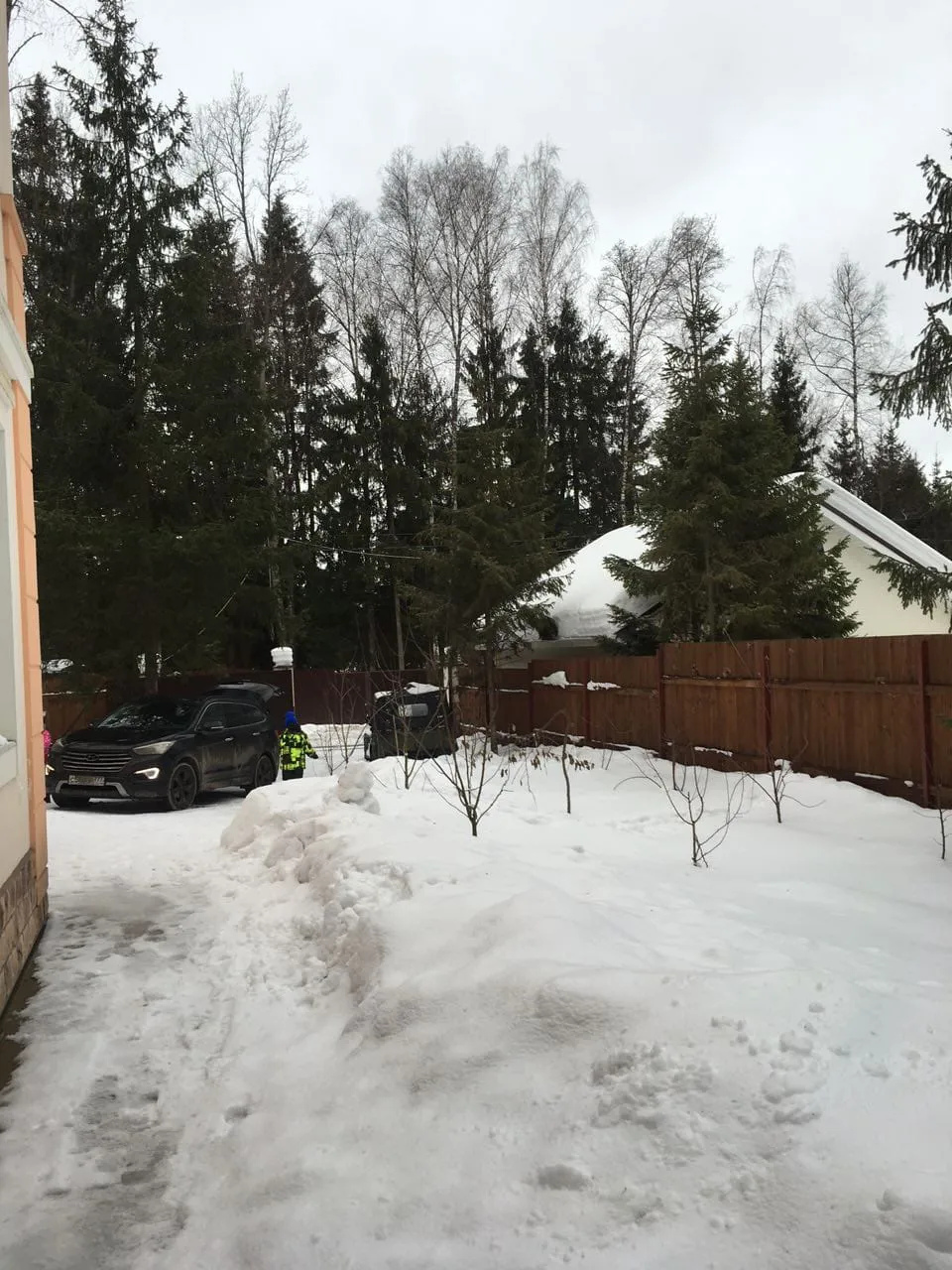Зимний участок и лес, фото 4
