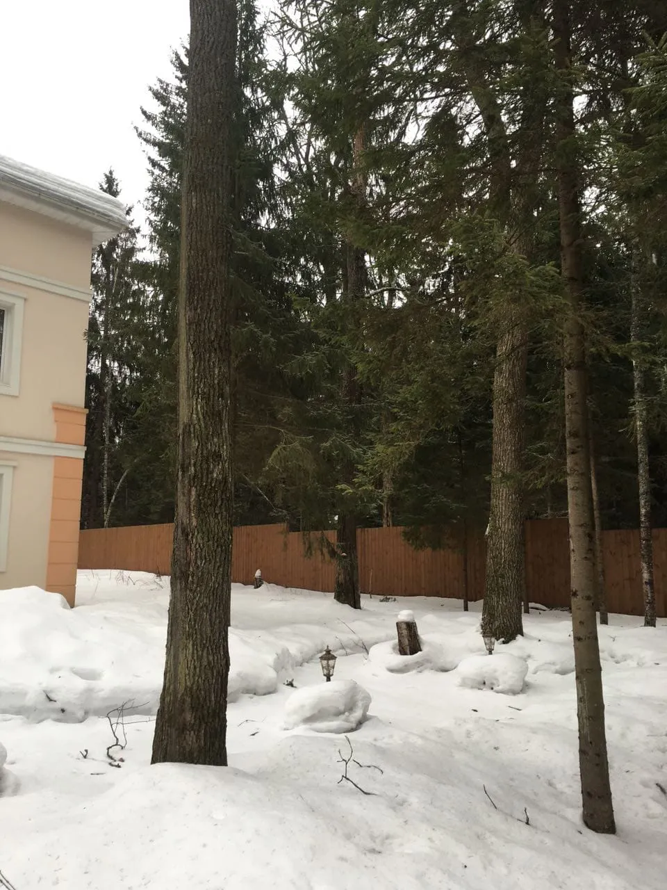 Зимний участок и лес, фото 2