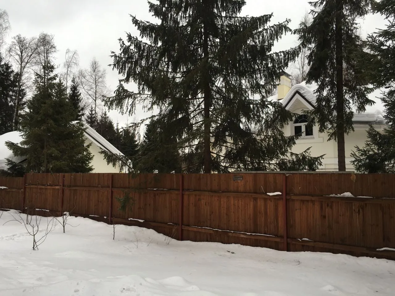 Зимний участок и лес, фото 5