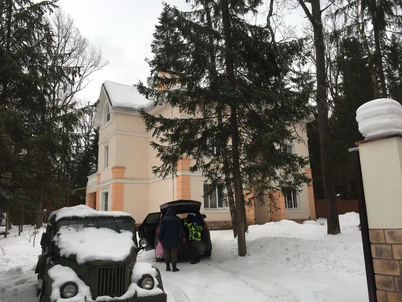 Зимний участок и лес, фото 8