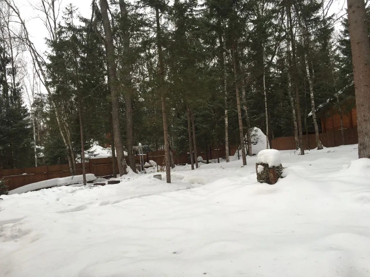 Зимний участок и лес, фото 3