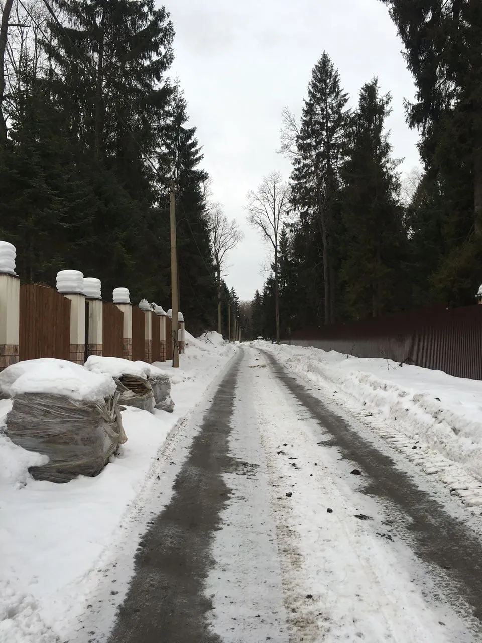 Зимний участок и лес, фото 6