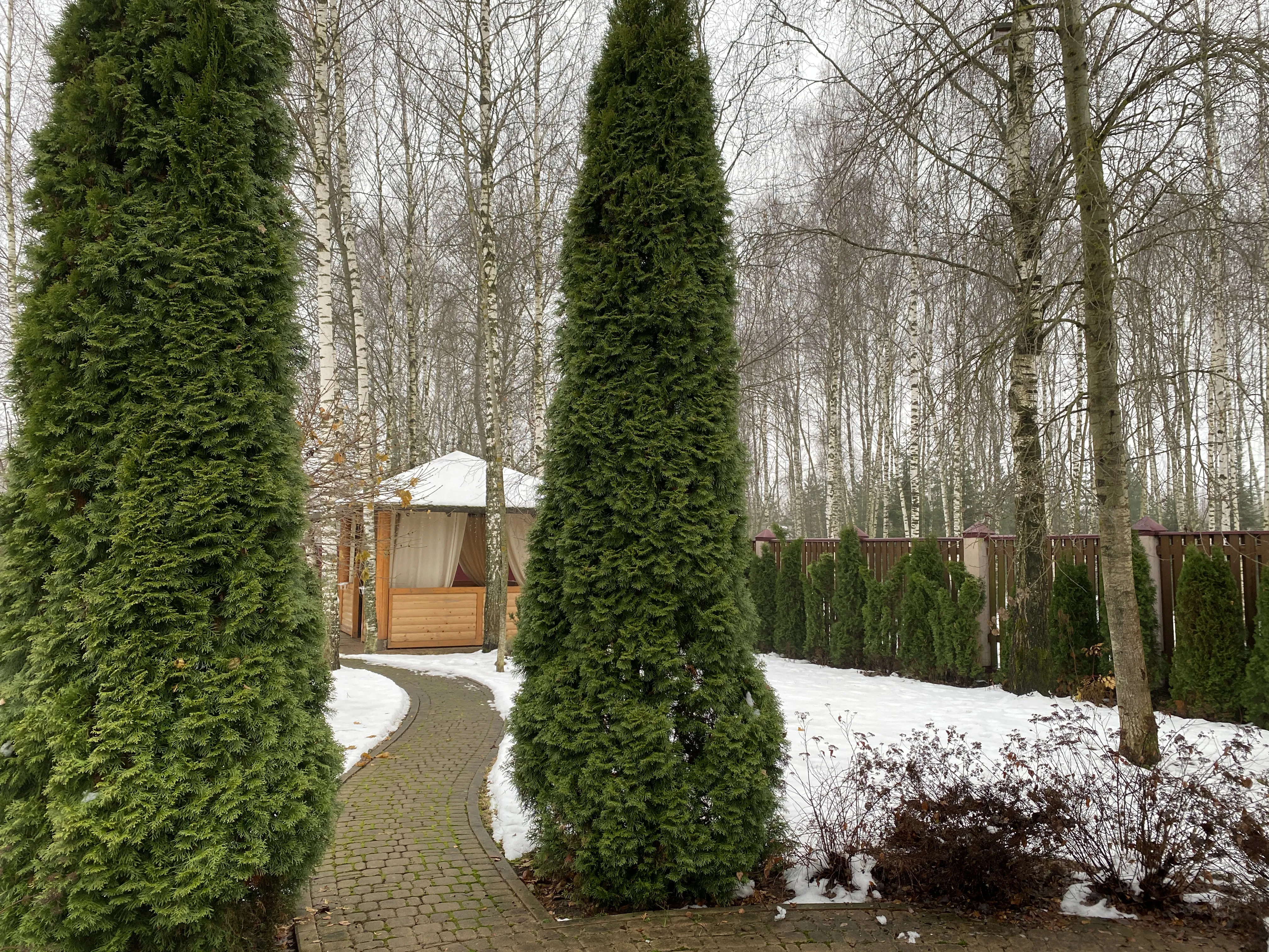 Загородный дом-сруб, фото 8