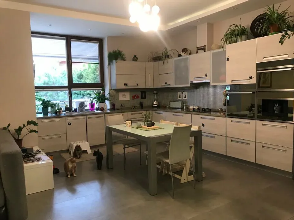 Квартира с просторной кухней, фото 1