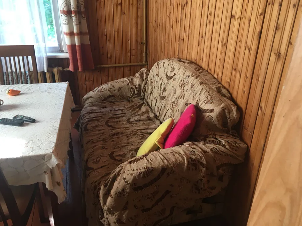 Дача. Вьющаяся зелень, фото 14
