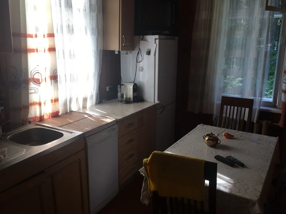 Дача. Вьющаяся зелень, фото 15