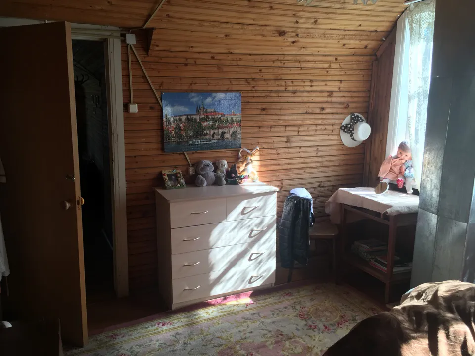 Дача. Вьющаяся зелень, фото 23
