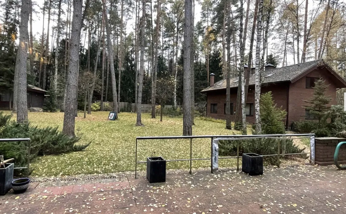 Лесной дом с лофтом, фото 8