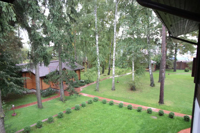 Большой дом в лесу, фото 13